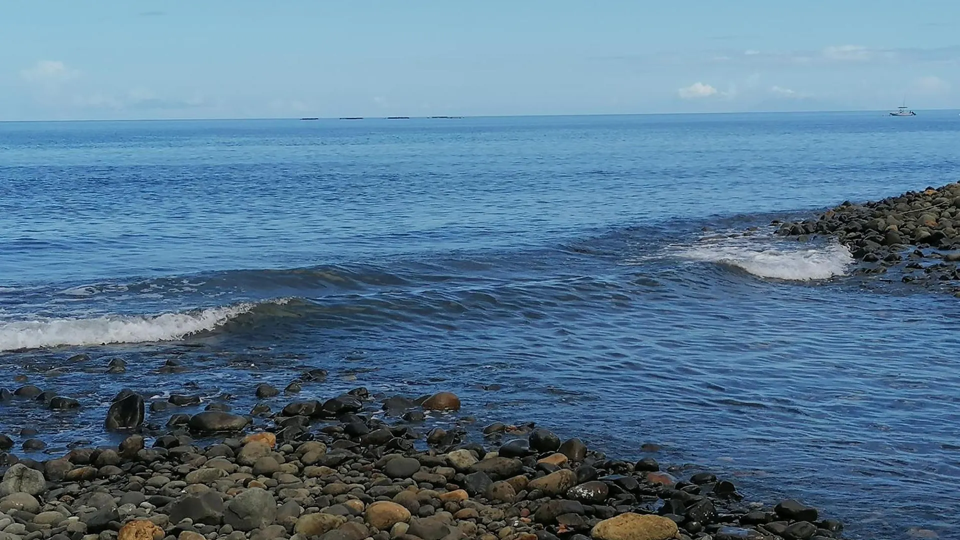 Insolite Arawakane Gîtes du Manial Pointe-Noire Guadeloupe