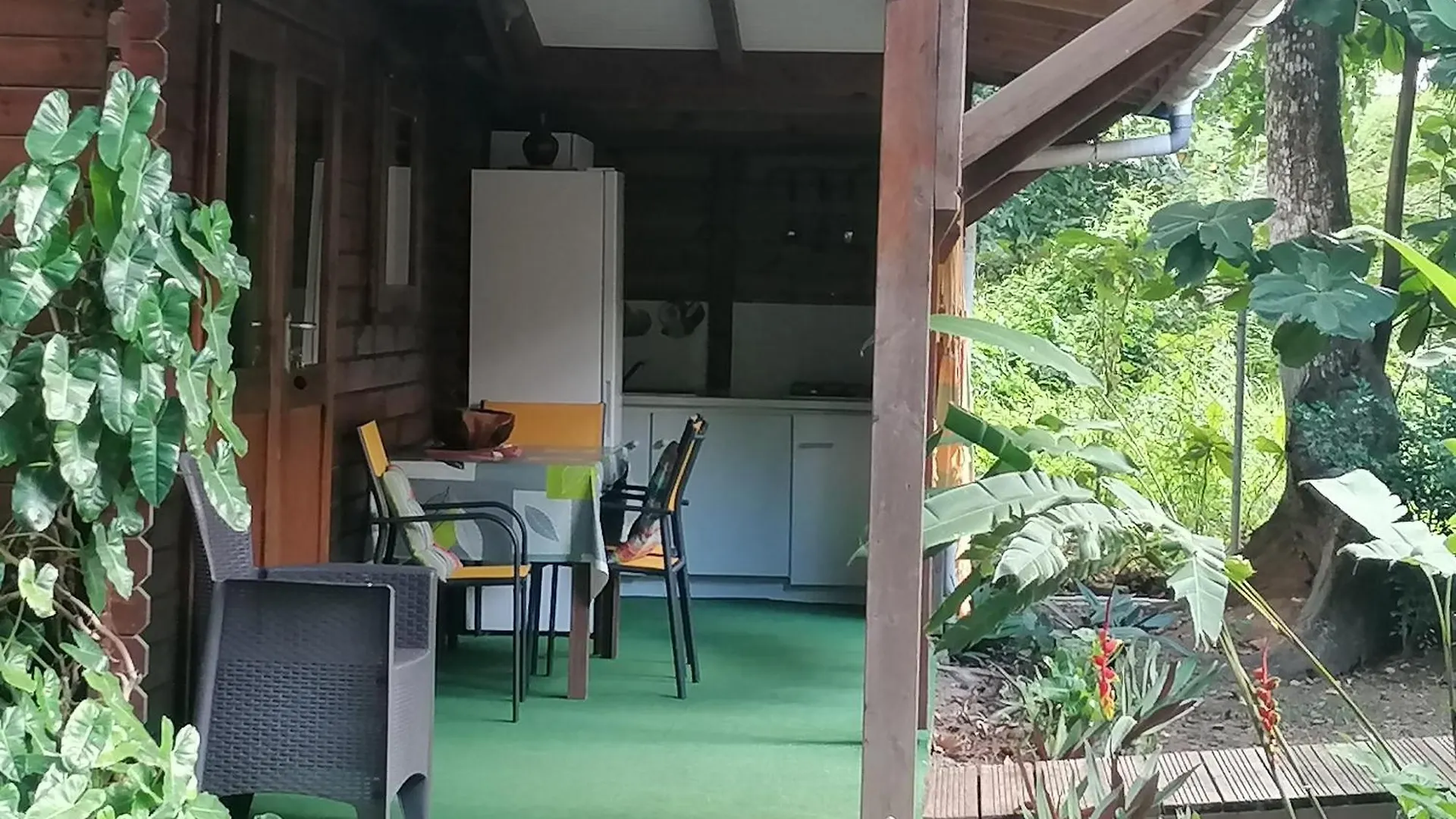 Insolite Arawakane Gîtes du Manial Pointe-Noire Hébergement de vacances