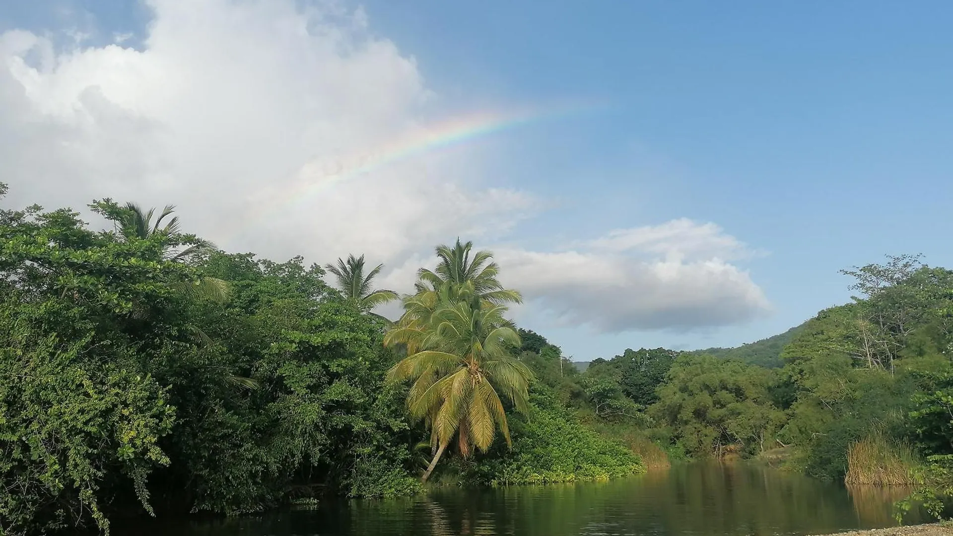 Insolite Arawakane Gîtes du Manial Pointe-Noire 0*,